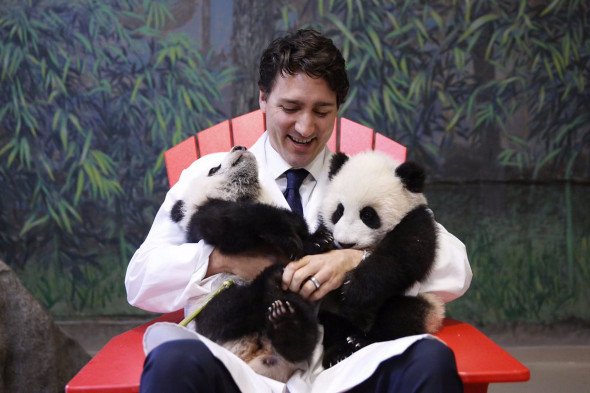 Trudeau Pandas